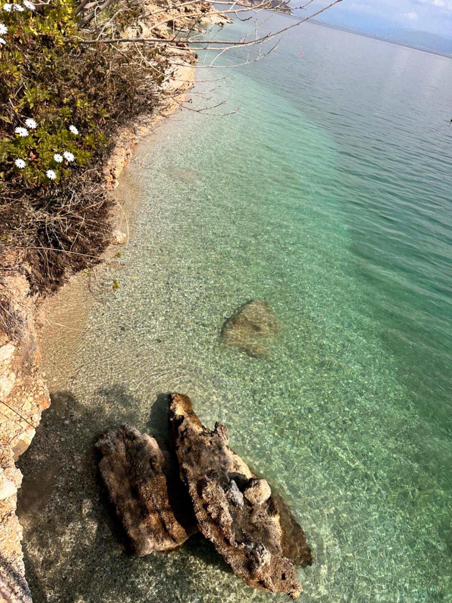 Luxury Beach House Perfect For Vacations 卡西罗彼卡多 外观 照片